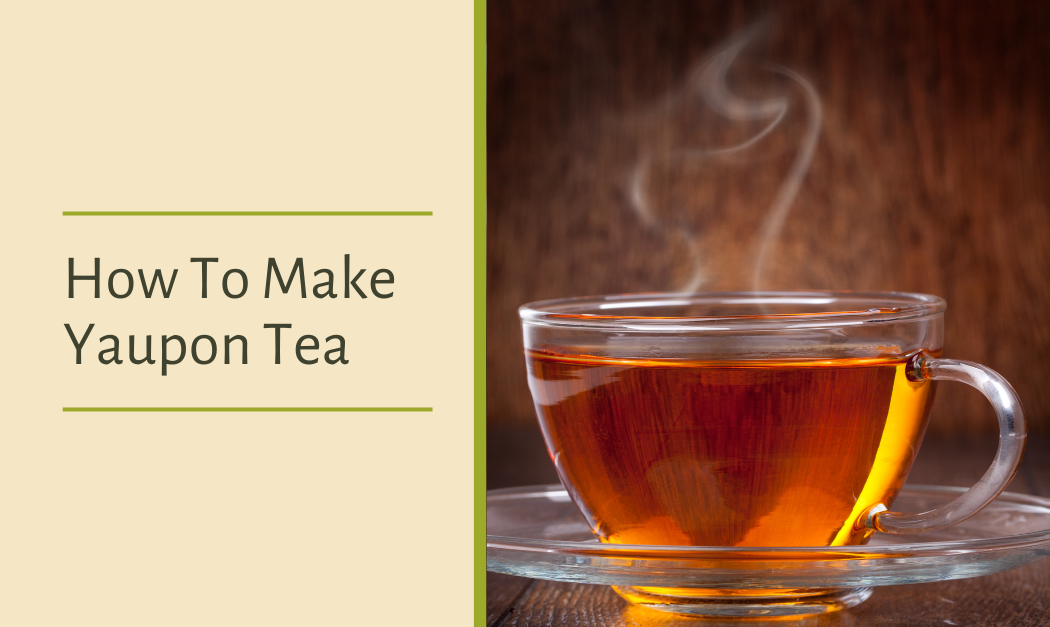 Yaupon, A Native Florida Tea, Is Making A Comeback. – QXNKXO