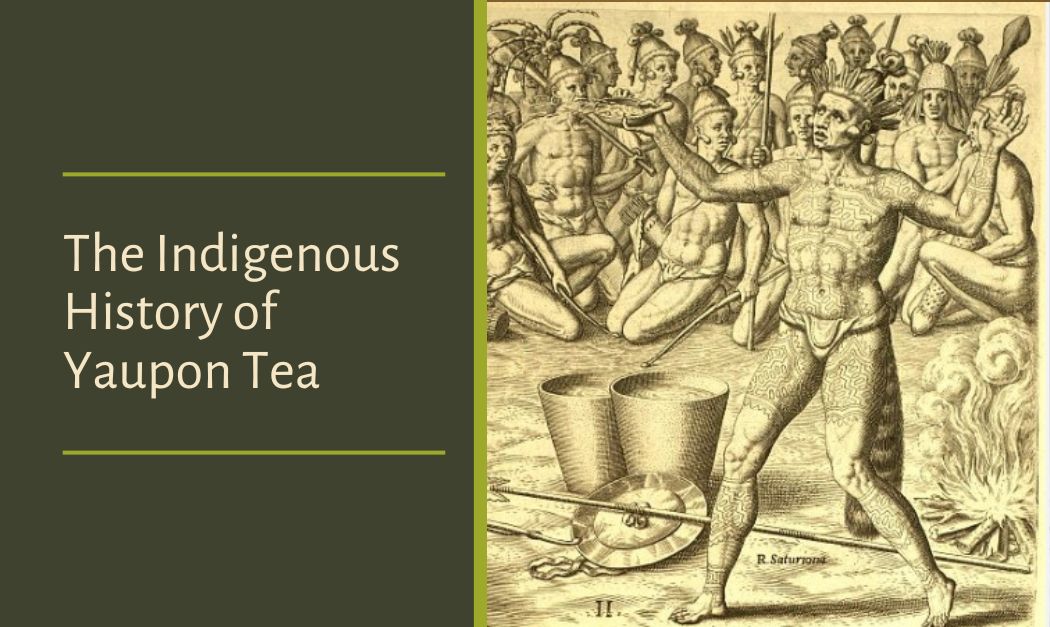 The Indigenous History of Yaupon Tea