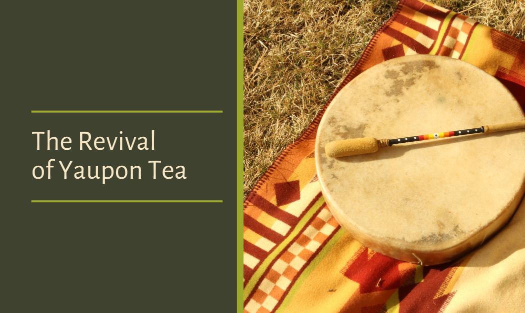 The Revival of Yaupon: How Indigenous Women Are Bringing Back America’s Forgotten Tea