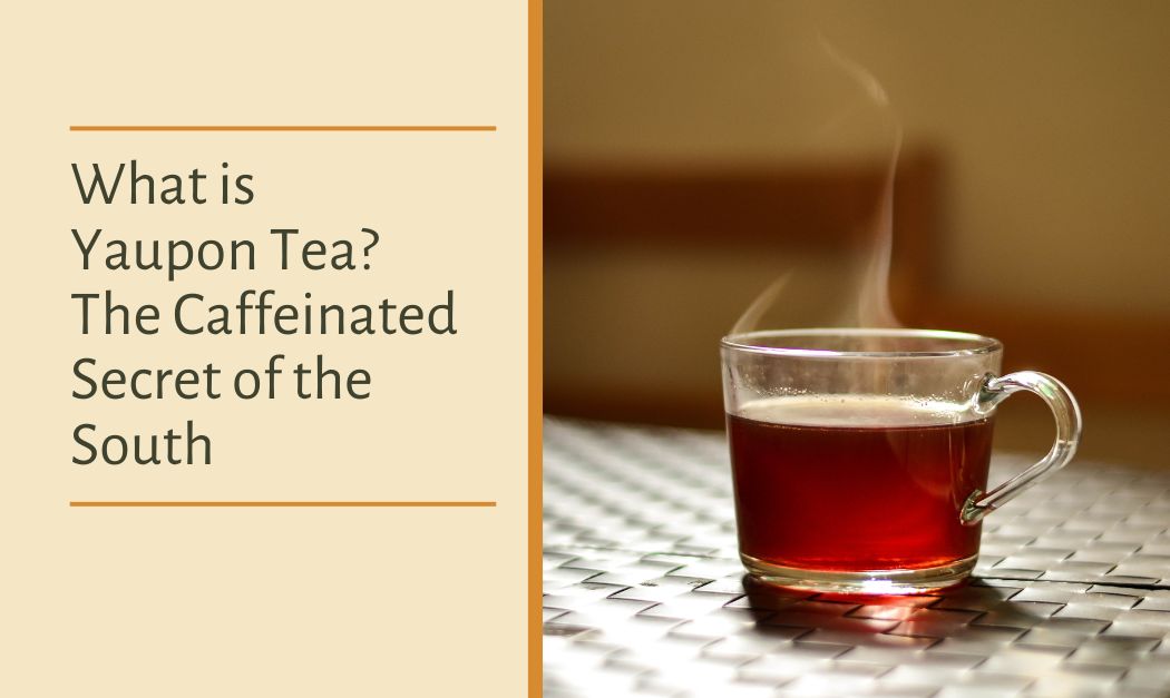 What Is Yaupon Tea? The Caffeinated Secret of the South