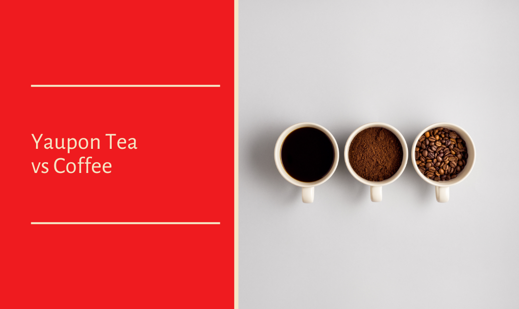 Yaupon Tea vs Coffee: Which Is Better for Daily Energy?