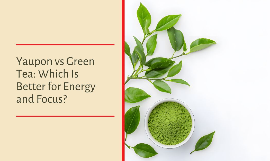 Yaupon vs Green Tea: Which Is Better for Energy and Focus?